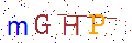 点击更换验证码